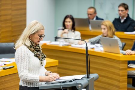 17. seja Občinskega sveta Občine Domžale, foto: Rok Majhenič/Občina Domžale